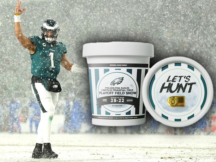 eagles snow game snow